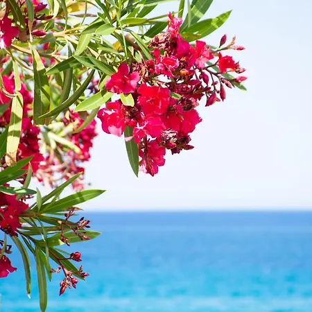 Διαμέρισμα Baywatch On The By 